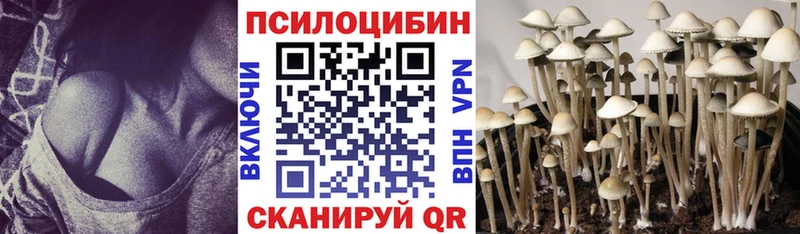 что такое наркотик Нижний Тагил Галлюциногенные грибы GOLDEN TEACHER